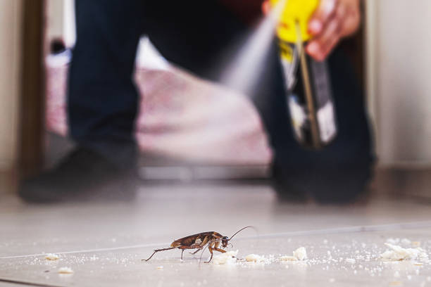 Professional Pest Control in Tilden, NE